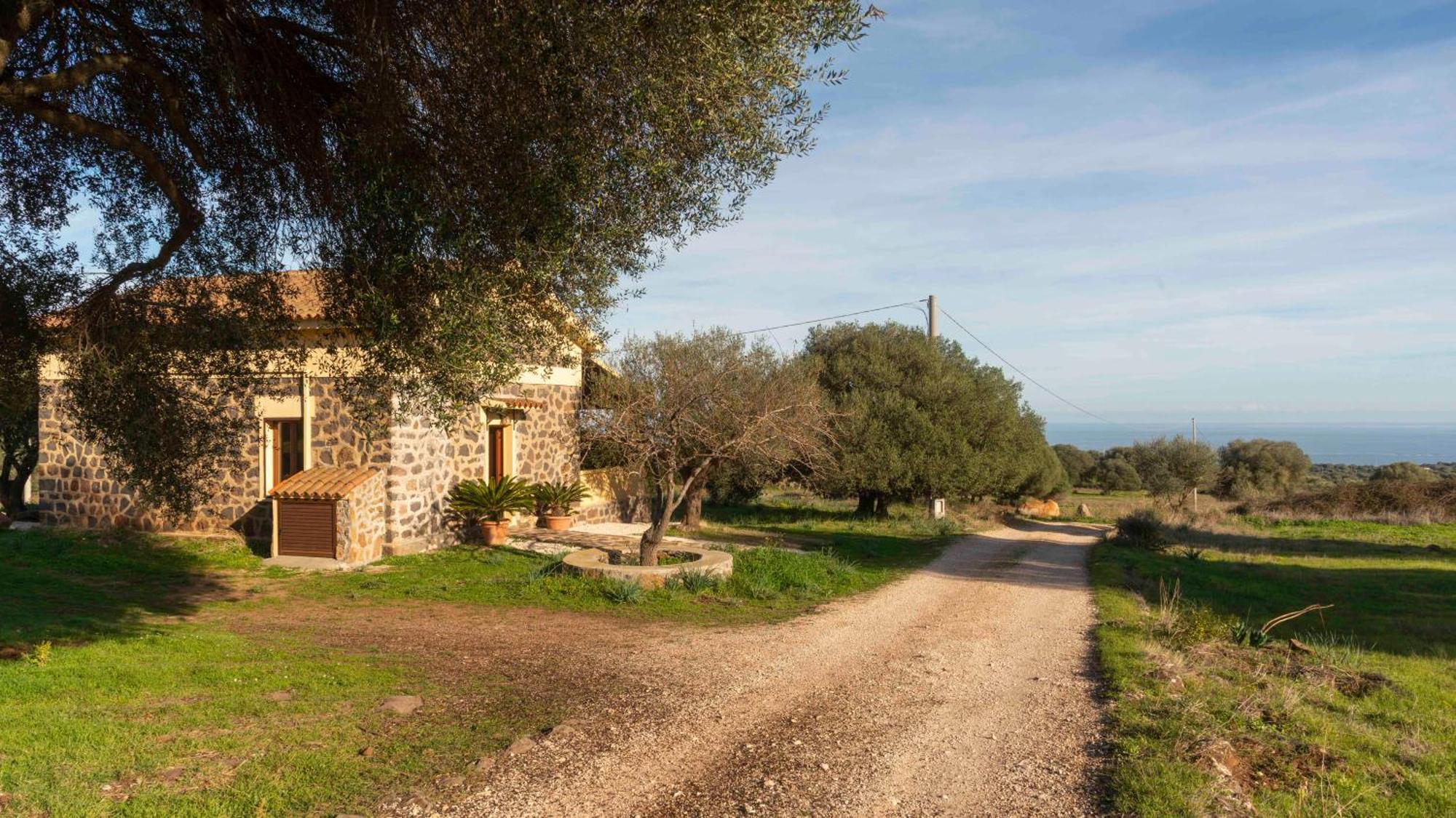 Tenute Efis Galtellì Kamer foto