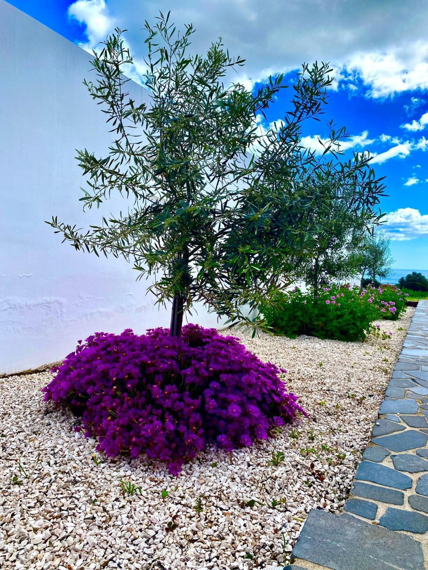 Tenute Efis Galtellì Buitenkant foto